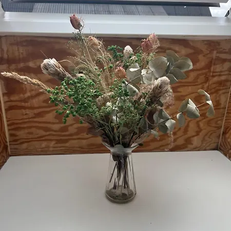 Folsted - Vaerelse 202 Fri Parkering Motel *